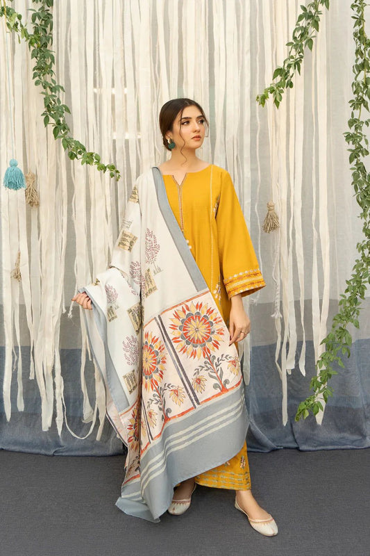 Dhanak 3PC Embroidered